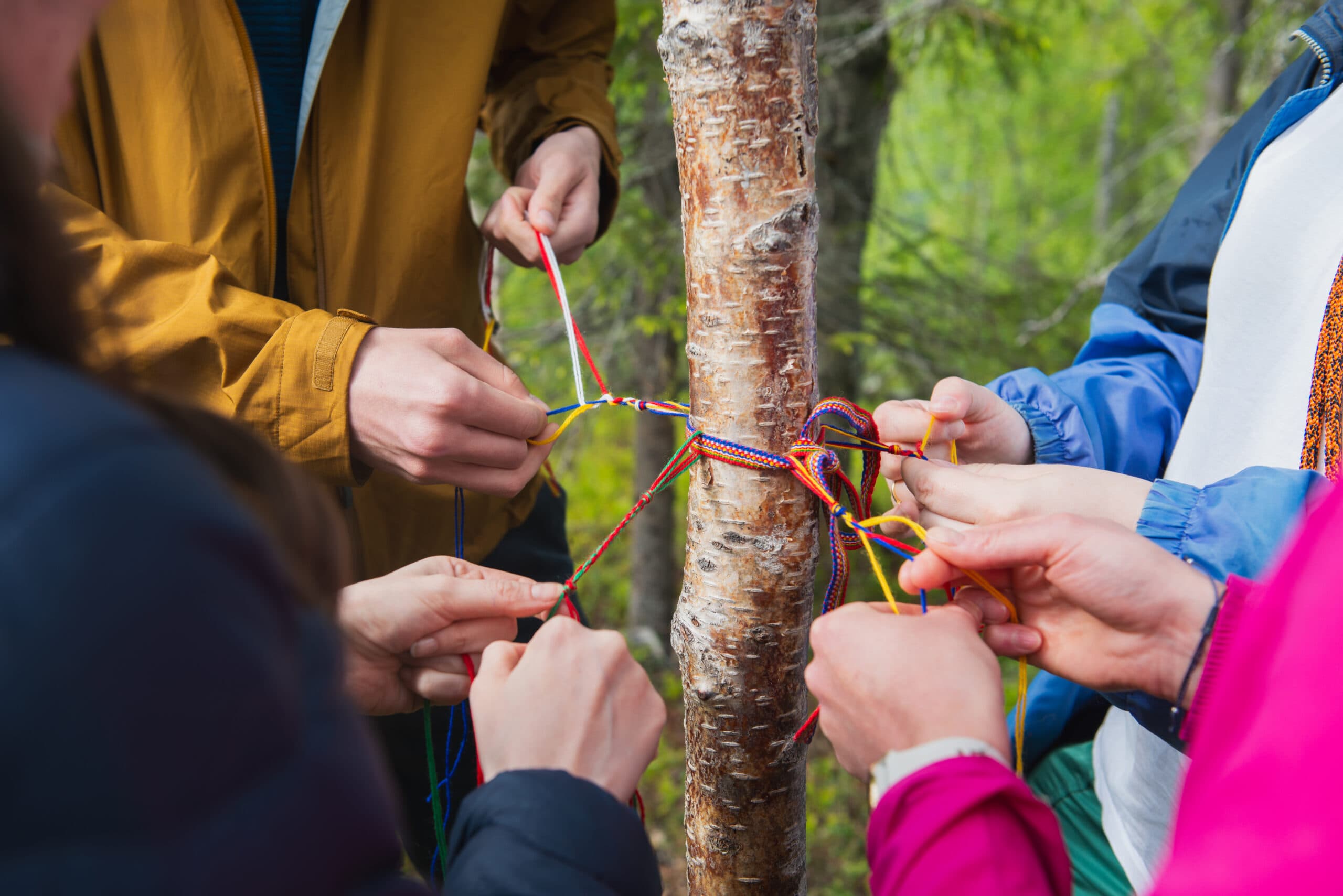 Four people standing around a tree, braiding bands in Sami colours
